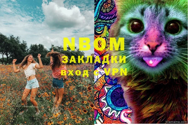 сатива Кулебаки