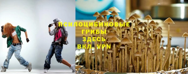 сатива Кулебаки