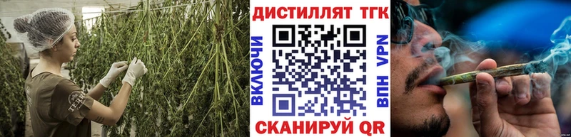 Купить закладки  Кедровый  ТГК THC oil 