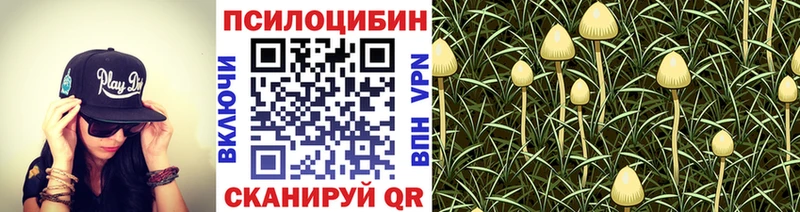 Купить  Кедровый  Псилоцибиновые грибы ЛСД 